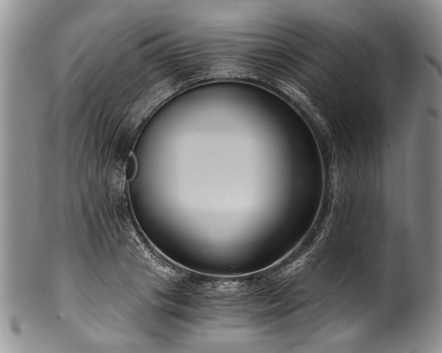 X0000101120841200806261434