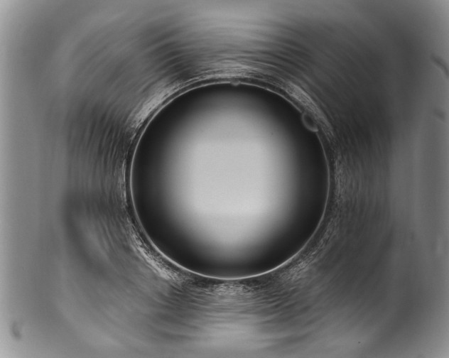 X0000101120842200806261434