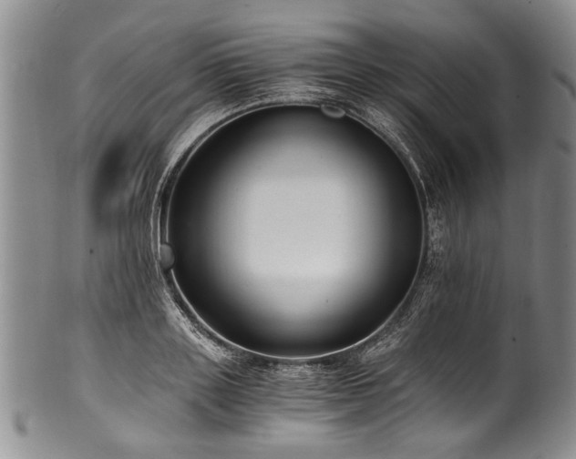 X0000101120843200806261434