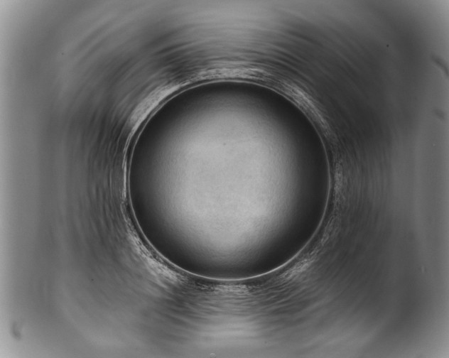 X0000101120844200806261434