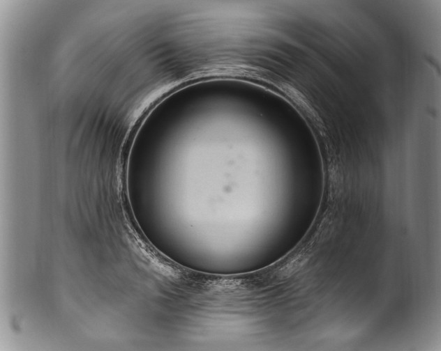 X0000101120846200806261434