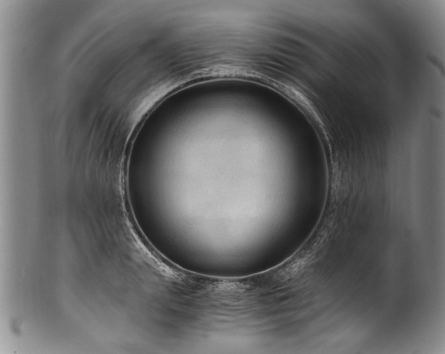 X0000101120847200806261434