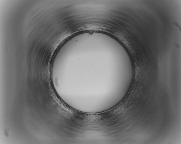 X0000101120848200806261434