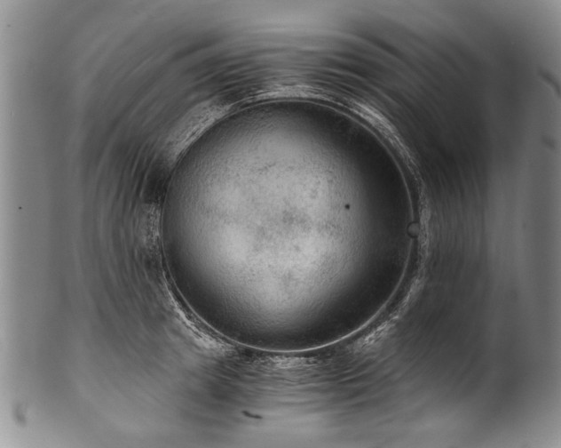 X0000101120849200806261434