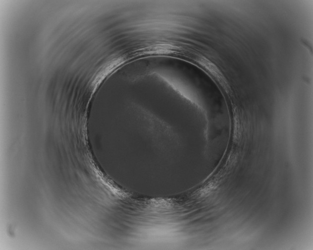 X0000101120850200806261434