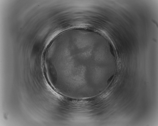 X0000101120851200806261434