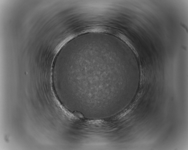 X0000101120853200806261435