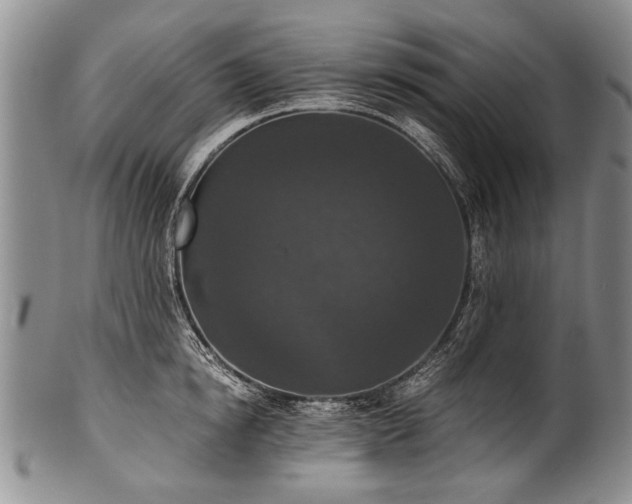 X0000101120854200806261435