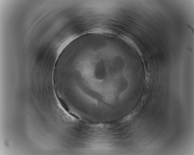 X0000101120855200806261435