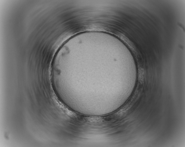 X0000101120856200806261435