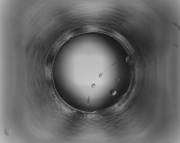 X0000101120857200806261435