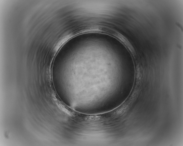 X0000101120858200806261435