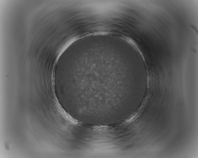 X0000101120859200806261435