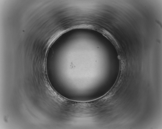 X0000101120860200806261435