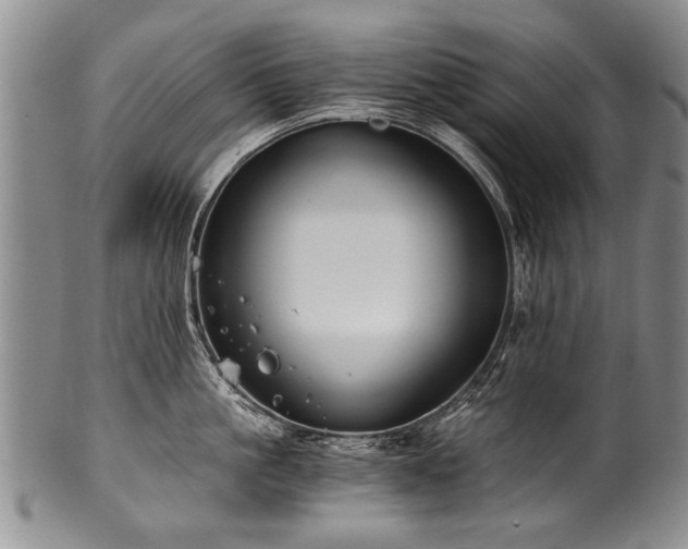 X0000101120861200806261435