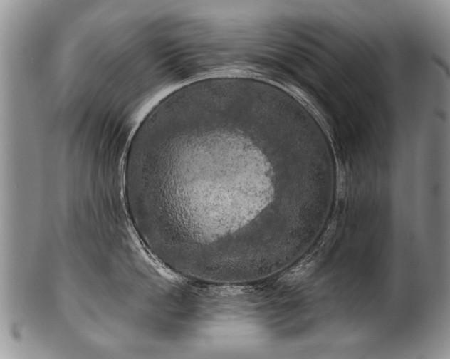 X0000101120862200806261435