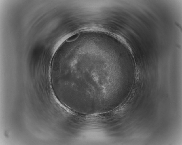 X0000101120863200806261435