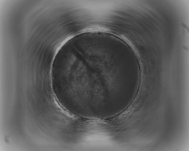X0000101120864200806261435