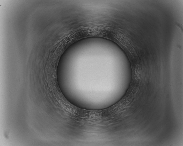 X0000101120865200806261434