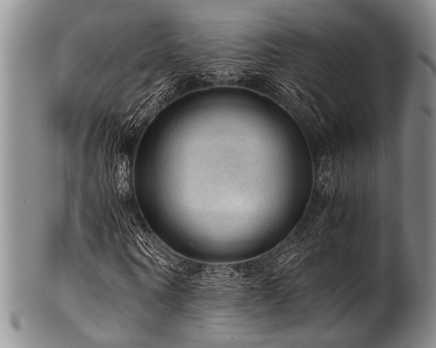X0000101120866200806261434