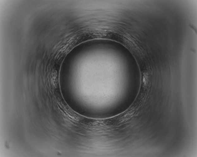X0000101120867200806261434