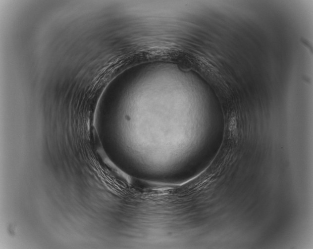 X0000101120868200806261434
