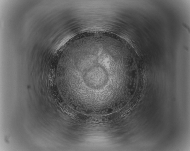 X0000101120871200806261434
