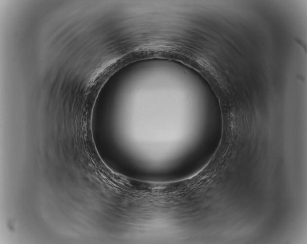 X0000101120872200806261434