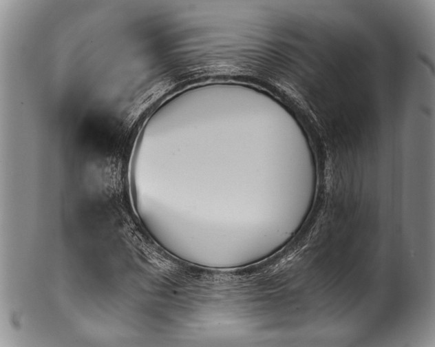 X0000101120873200806261434