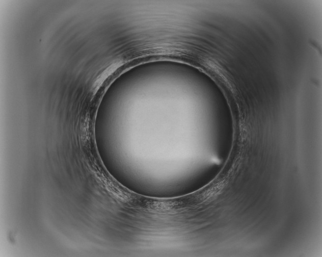 X0000101120875200806261434