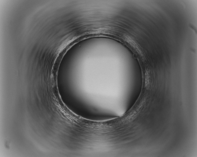 X0000101120876200806261434
