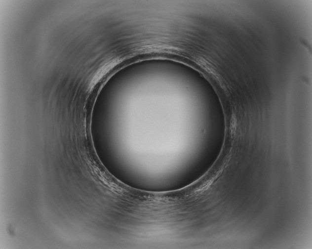 X0000101120877200806261434