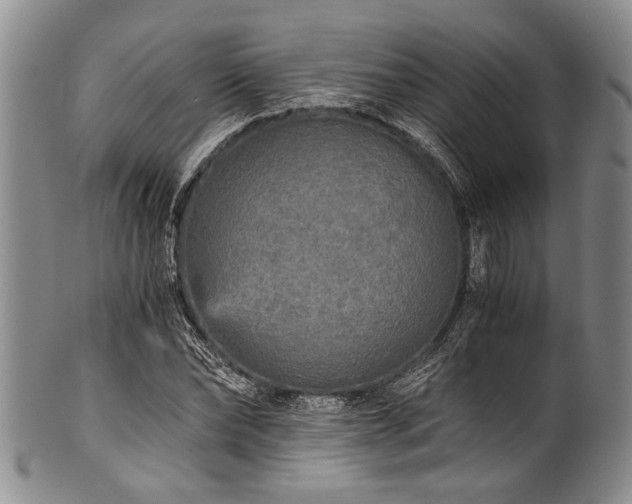 X0000101120878200806261434