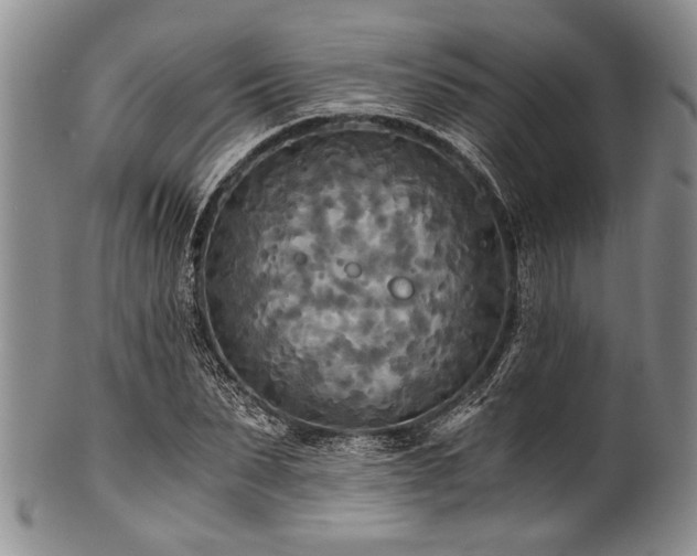 X0000101120879200806261434