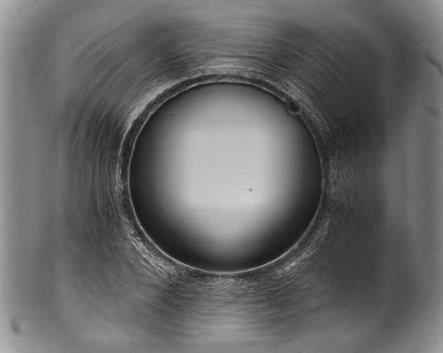 X0000101120880200806261434