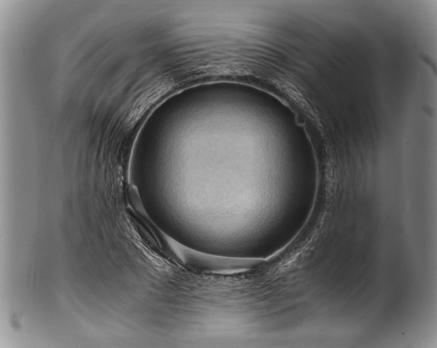X0000101120881200806261434