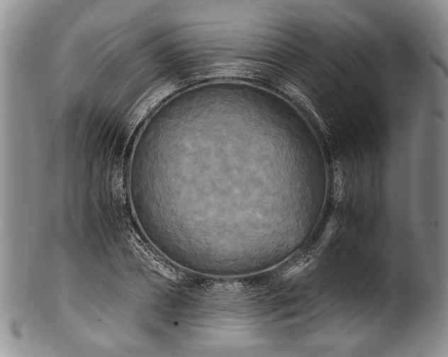 X0000101120882200806261434