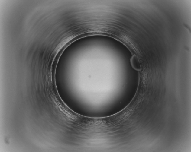 X0000101120884200806261434