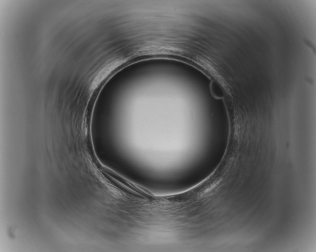 X0000101120885200806261434