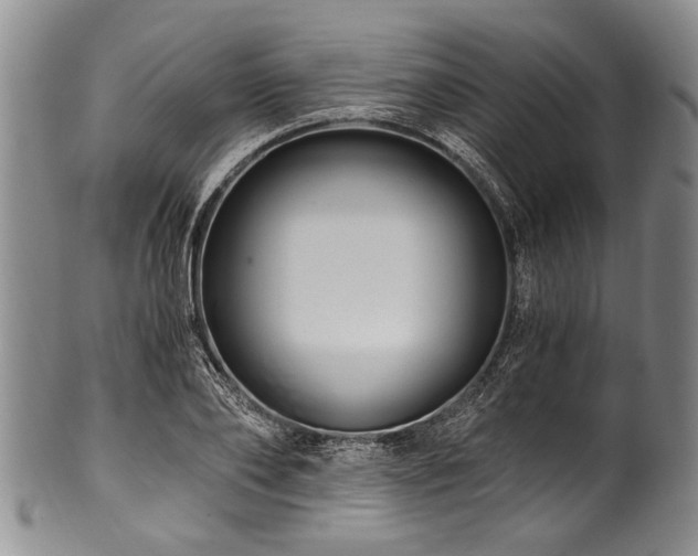 X0000101120886200806261434
