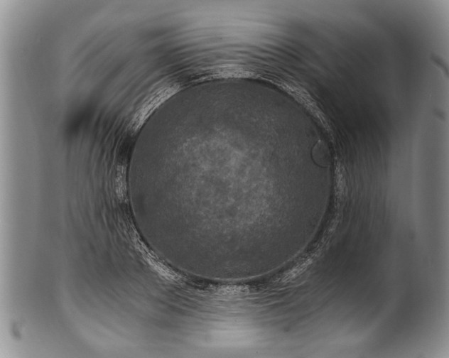 X0000101120889200806261434