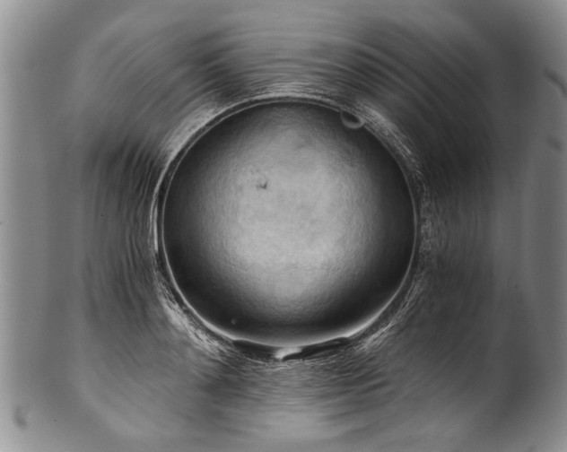X0000101120892200806261434