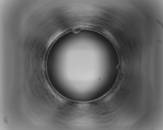 X0000101120893200806261434