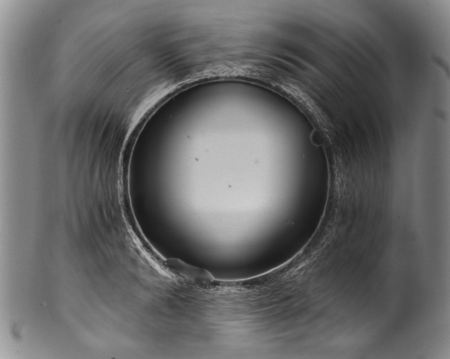 X0000101120894200806261434