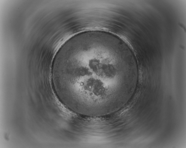X0000101120895200806261433
