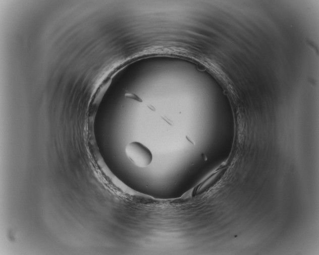 X0000101120896200806261433