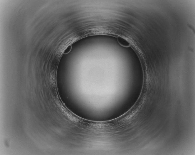 X0000101120897200806261433