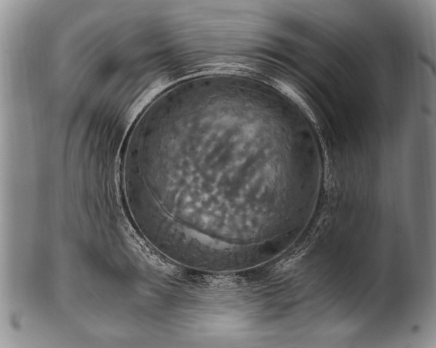 X0000101120899200806261433
