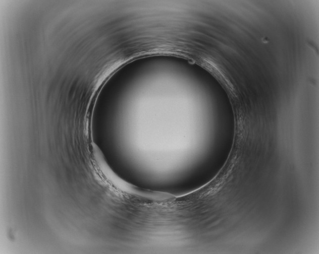 X0000101120900200806261433