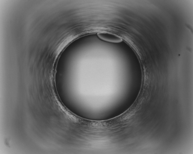 X0000101120901200806261433